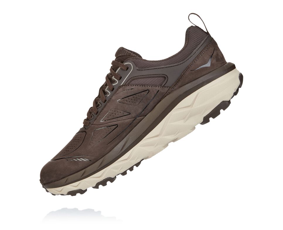 Men's Hoka One One Challenger Low GORE-TEX Trail Running Shoes Demitasse | ZULVTX269