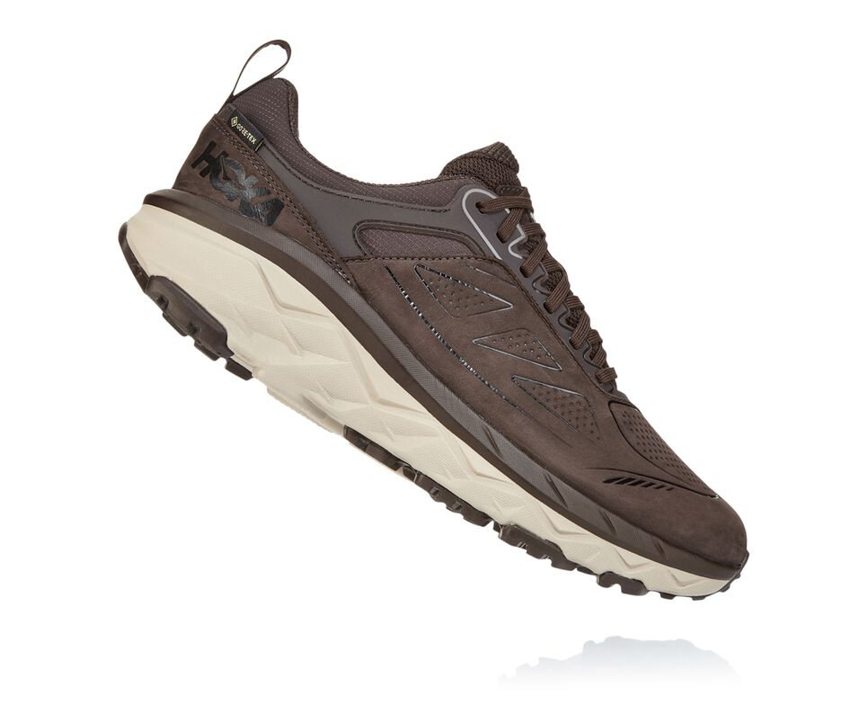 Men's Hoka One One Challenger Low GORE-TEX Trail Running Shoes Demitasse | ZULVTX269