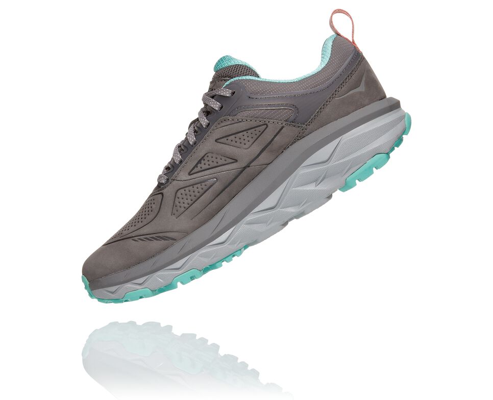 Women's Hoka One One Challenger Low GORE-TEX Hiking Boots Charcoal Gray / Wild Dove | XRCYMN146