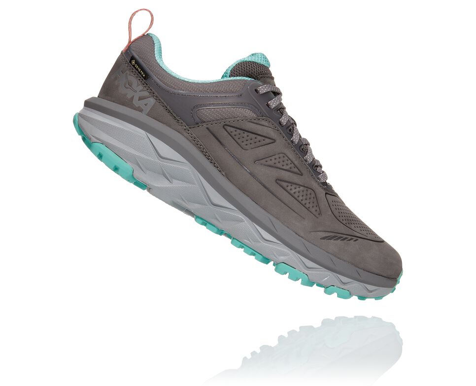 Women's Hoka One One Challenger Low GORE-TEX Hiking Boots Charcoal Gray / Wild Dove | XRCYMN146