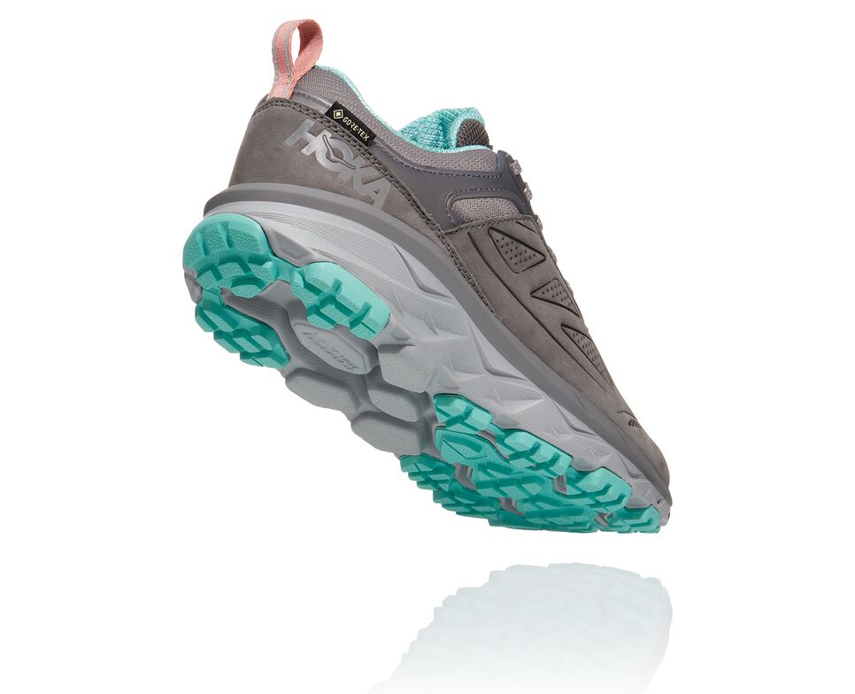 Women's Hoka One One Challenger Low GORE-TEX Hiking Boots Charcoal Gray / Wild Dove | XRCYMN146