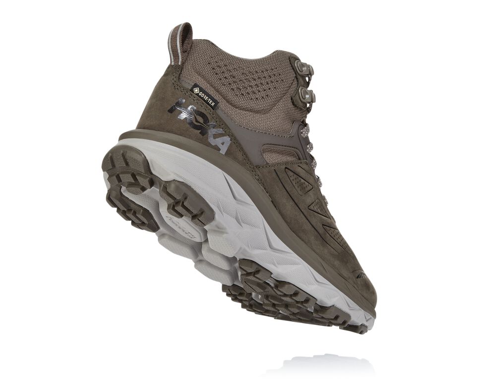 Women's Hoka One One Challenger Mid GORE-TEX Trail Running Shoes Major Brown / Heather | DHZOXC679